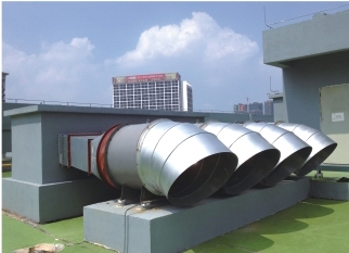 ĳ�̘I�V���L�C�Ŀ���x���L�C,�h���L�C��